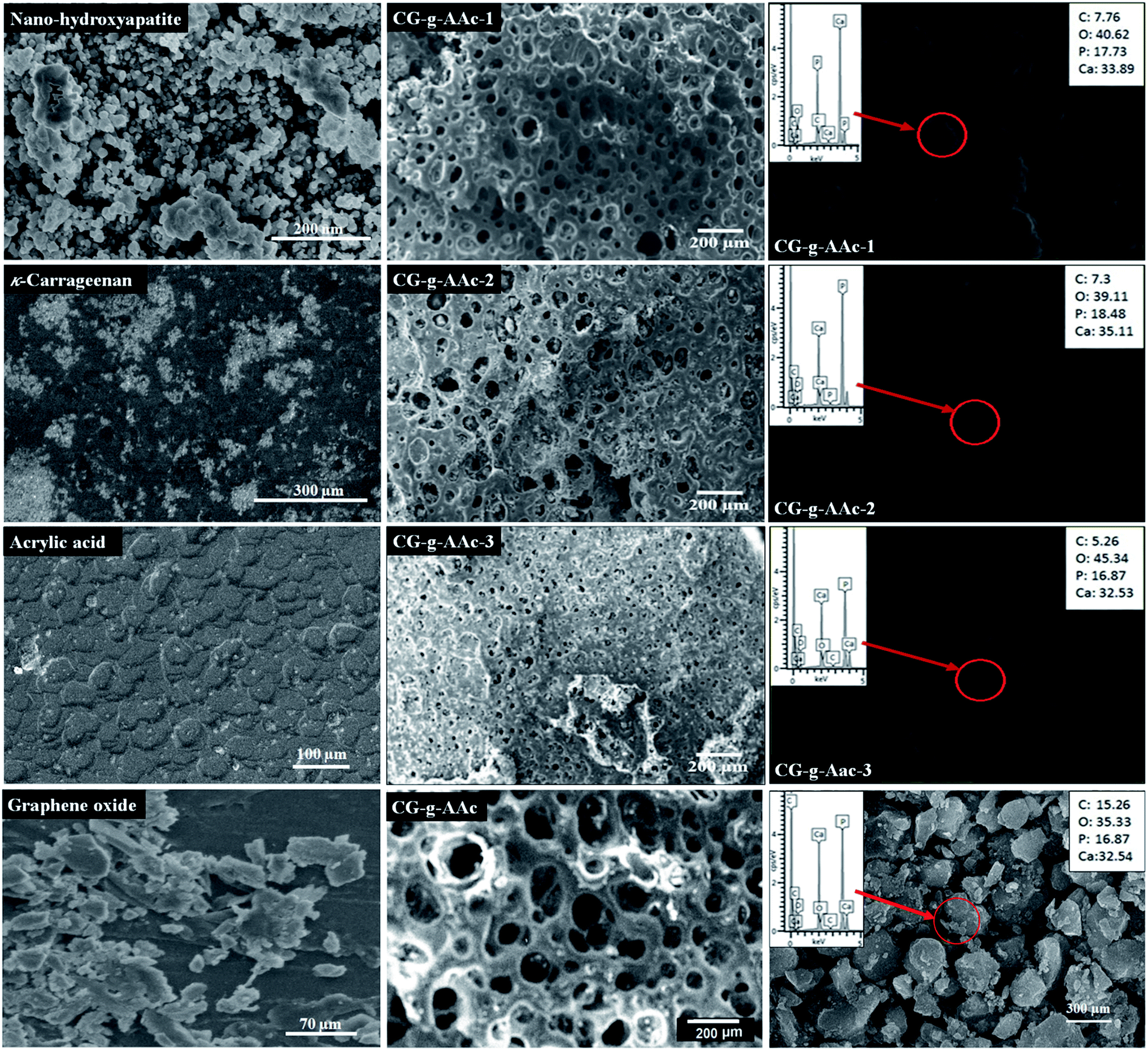 Development And In Vitro Evaluation Of K Carrageenan Based Polymeric Hybrid Nanocomposite Scaffolds For Bone Tissue Engineering Rsc Advances Rsc Publishing Doi 10 1039 D0rab
