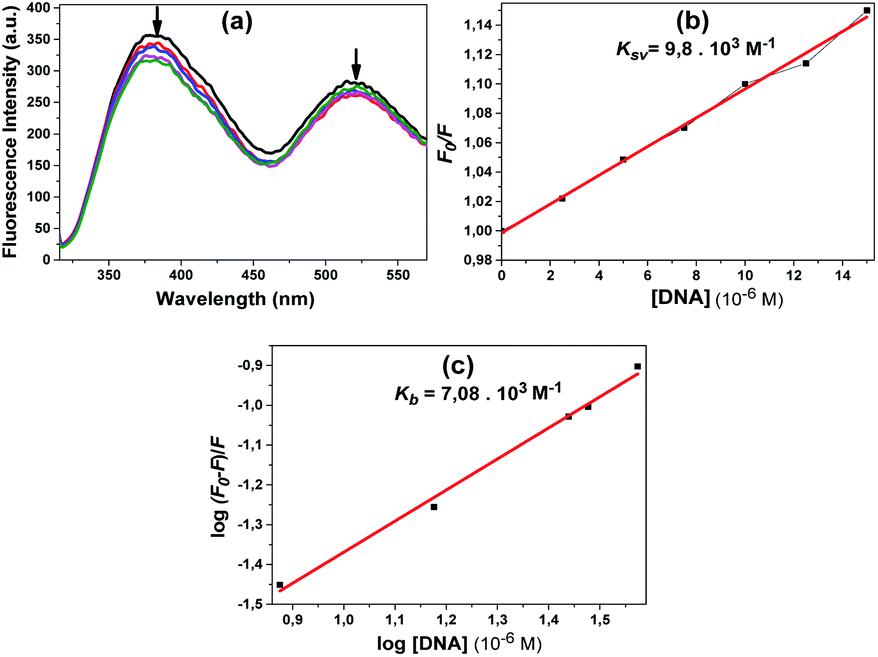 Synthesis Of Novel Calix 4 Arene P Benzazole Derivatives And Investigation Of Their Dna Binding And Cleavage Activities With Molecular Docking And Ex Rsc Advances Rsc Publishing Doi 10 1039 D0raa