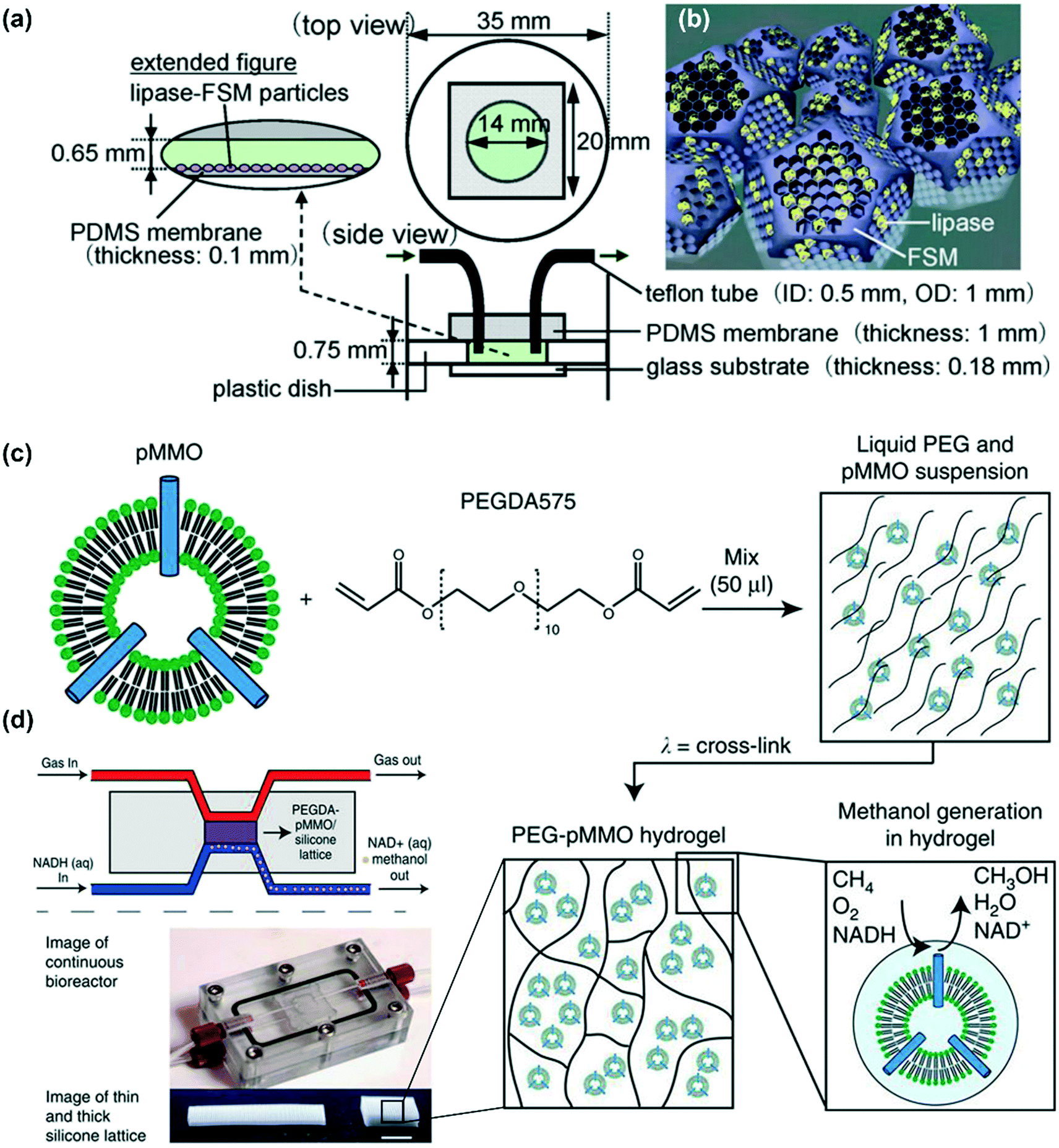 microfluidic immobilized enzyme reactors for continuous biocatalysis reaction chemistry engineering rsc publishing doi 10 1039 c9re00217k diagram kontaktor 1 phase