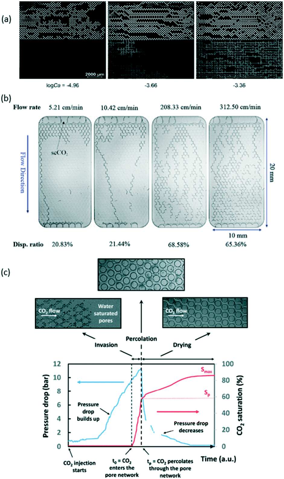 Studying key processes related to CO 2 underground storage at the