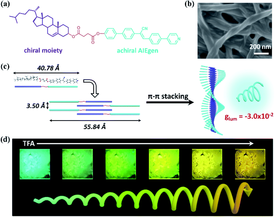 Multi Color Tunable Circularly Polarized Luminescence In One Single Aie System Chemical Science Rsc Publishing Doi 10 1039 C9scb