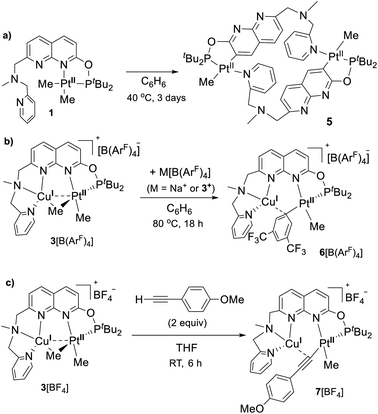 Metal Metal Cooperative Bond Activation By Heterobimetallic Alkyl Aryl And Acetylide Pt Ii Cu I Complexes Chemical Science Rsc Publishing Doi 10 1039 D0scg
