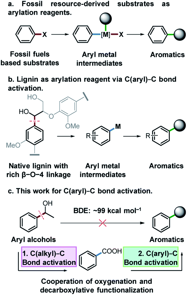 Synthesis Of Thioethers Arenes And Arylated Benzoxazoles By Transformation Of The C Aryl C Bond Of Aryl Alcohols Chemical Science Rsc Publishing Doi 10 1039 D0scg