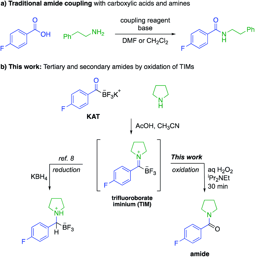 Direct Synthesis of Amides from Carboxylic Acids and Amines Using