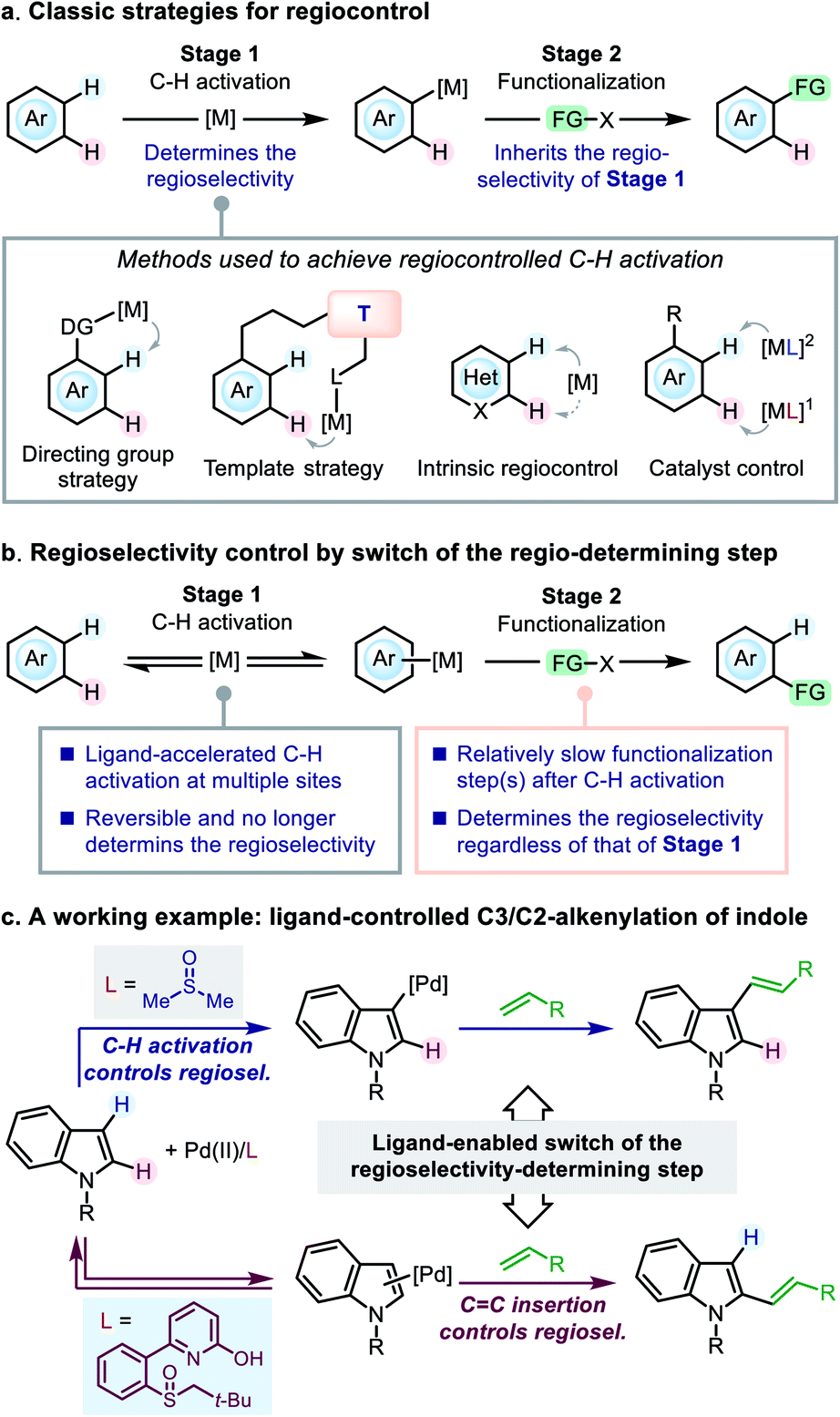 Regiocontrol In The Oxidative Heck Reaction Of Indole By Ligand Enabled Switch Of The Regioselectivity Determining Step Chemical Science Rsc Publishing Doi 10 1039 D0scb