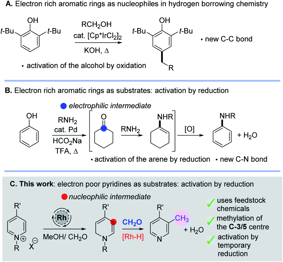 Rhodium Catalysed C 3 5 Methylation Of Pyridines Using Temporary Dearomatisation Chemical Science Rsc Publishing Doi 10 1039 D0sc02759f