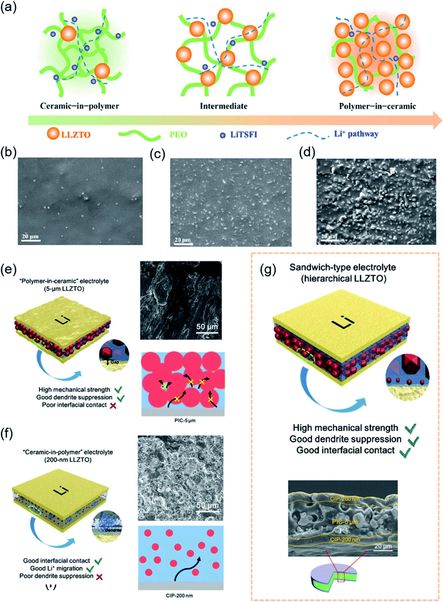 Designing Composite Solid State Electrolytes For High Performance Lithium Ion Or Lithium Metal Batteries Chemical Science Rsc Publishing Doi 10 1039 D0scf