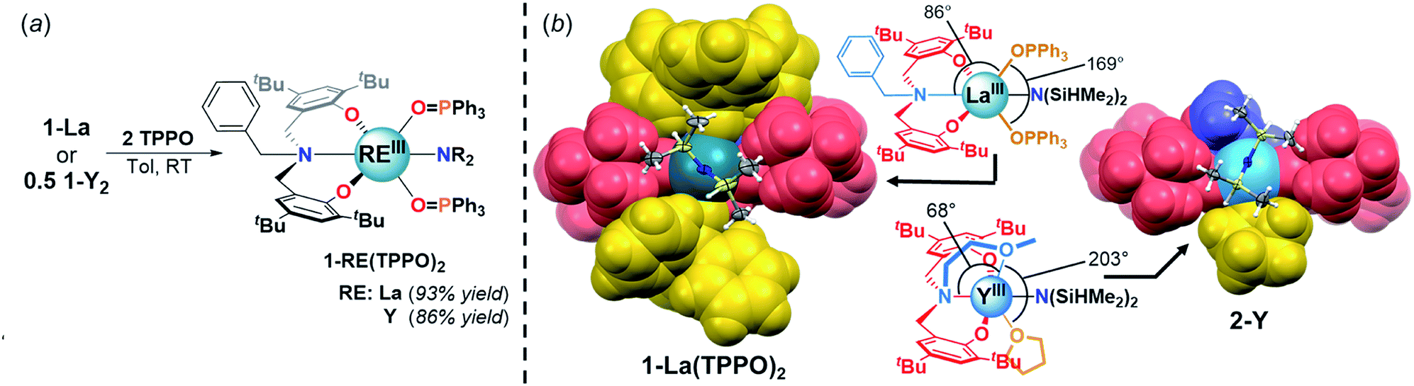 The Role Of Neutral Donor Ligands In The Isoselective Ring Opening Polymerization Of Rac B Butyrolactone Chemical Science Rsc Publishing Doi 10 1039 D0scf