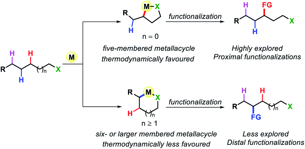 Diverse Strategies For Transition Metal Catalyzed Distal C Sp 3 H Functionalizations Chemical Science Rsc Publishing Doi 10 1039 D0sck