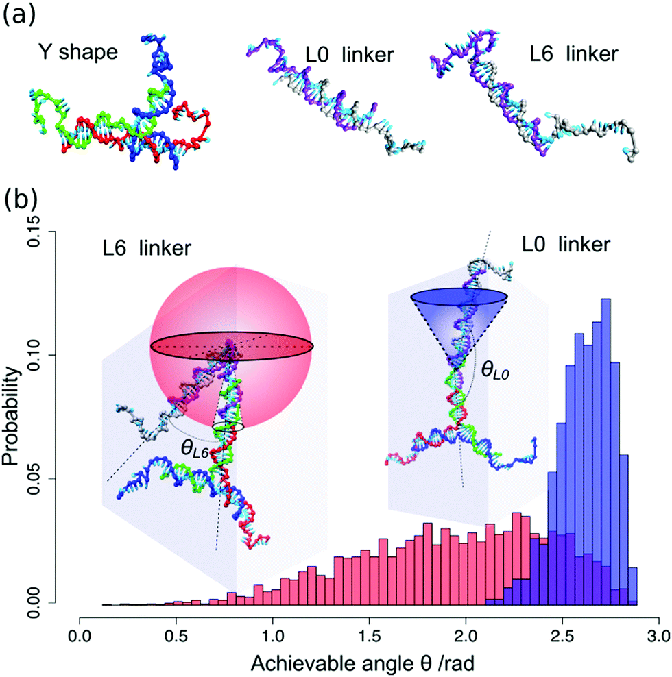 DNA-directed self-assembly of shape-controlled hydrogels