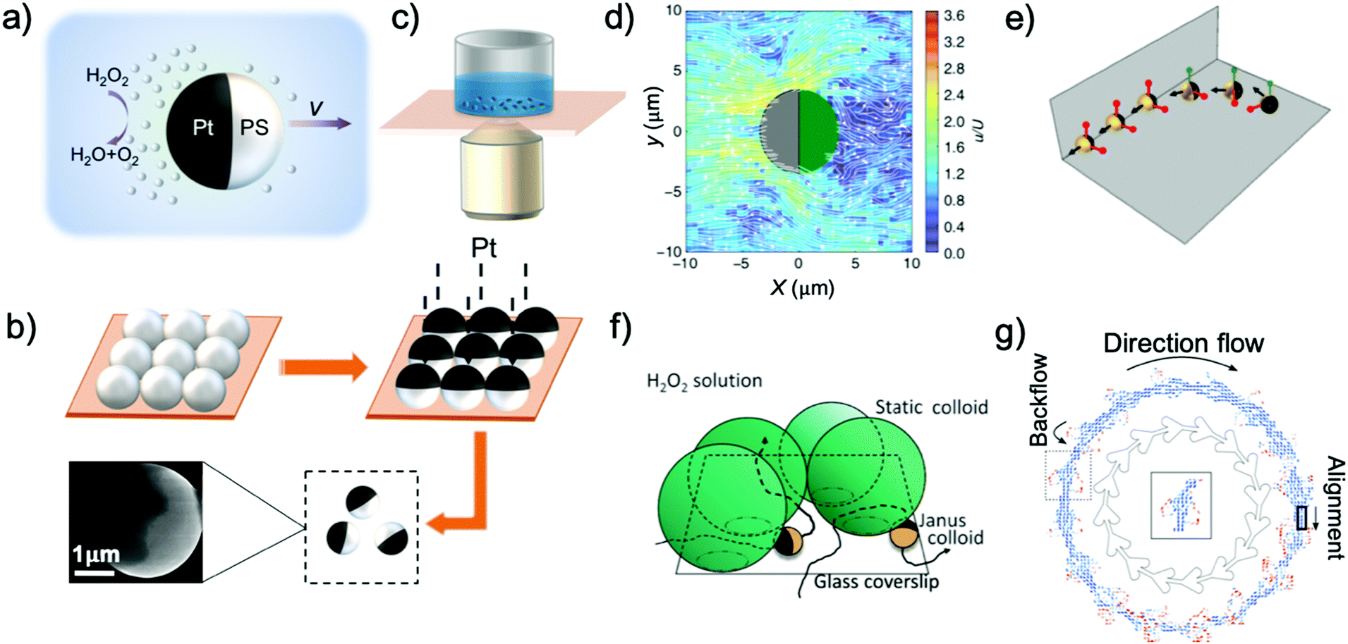 A practical guide to active colloids: choosing synthetic model