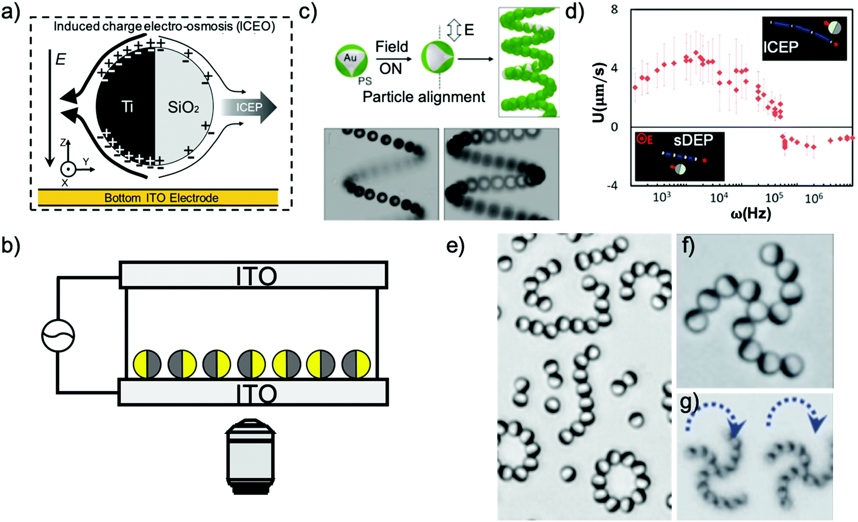 A practical guide to active colloids: choosing synthetic model