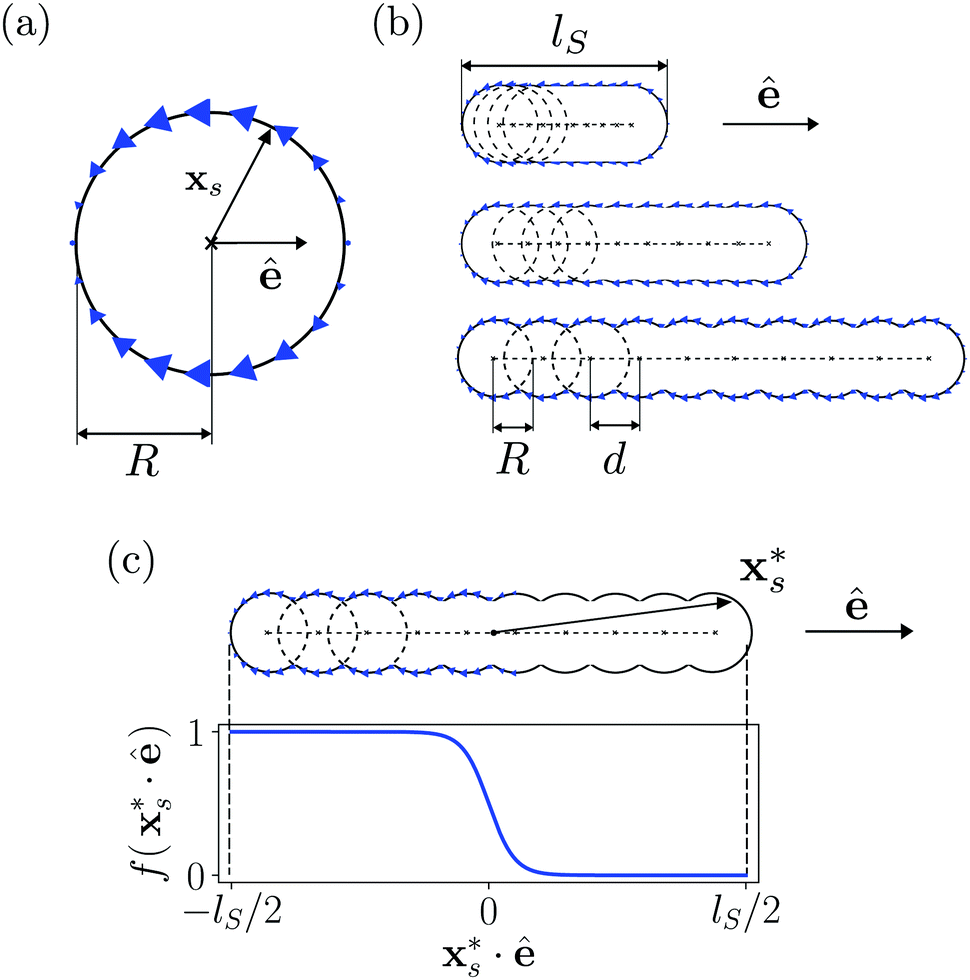 Squirmer Rods As Elongated Microswimmers Flow Fields And Confinement Soft Matter Rsc Publishing Doi 10 1039 D0sme