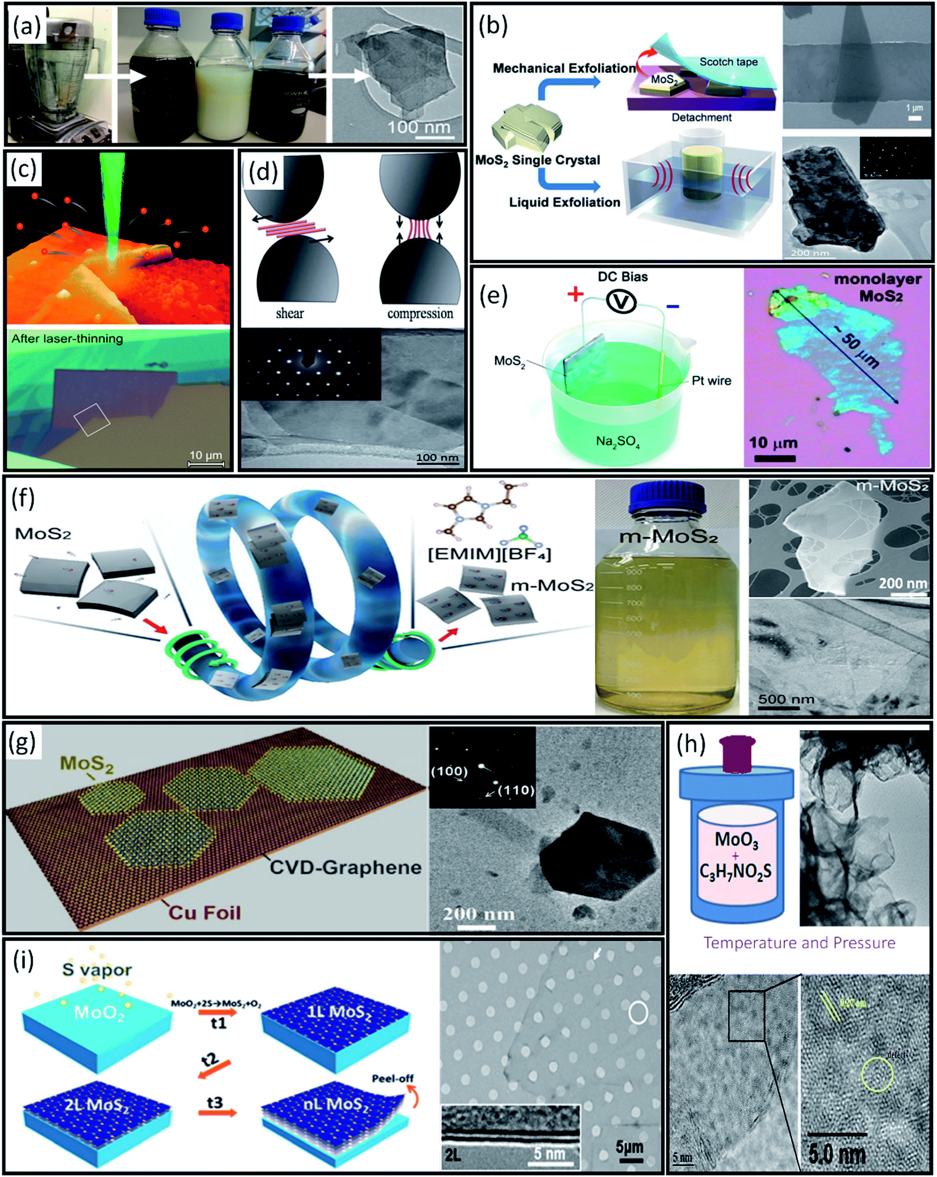2D transition metal dichalcogenide nanomaterials: advances 