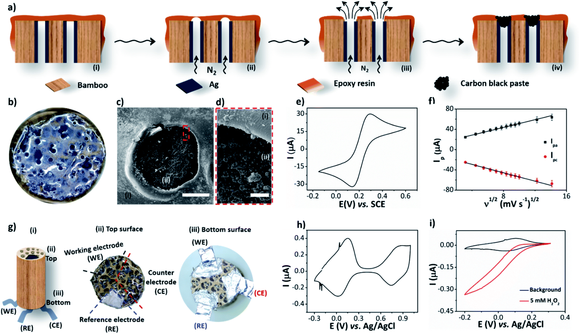 Ultra Highly Conductive Hollow Channels Guided By A Bamboo Bio