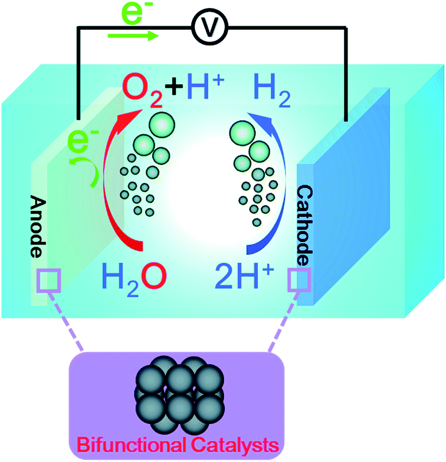 Recent advances in black phosphorus/carbon hybrid composites: from 