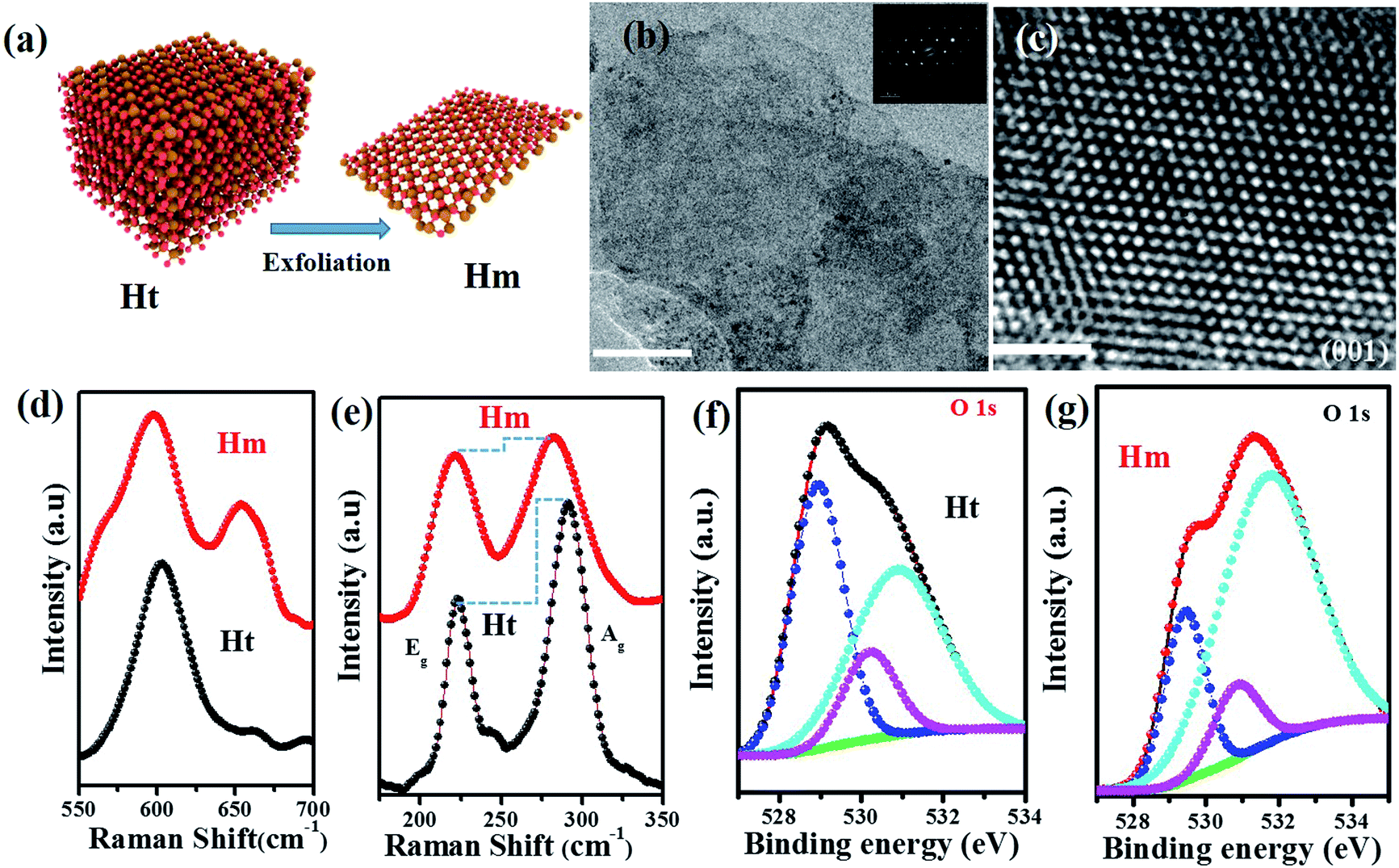 Revealing the defect-dominated oxygen evolution activity of