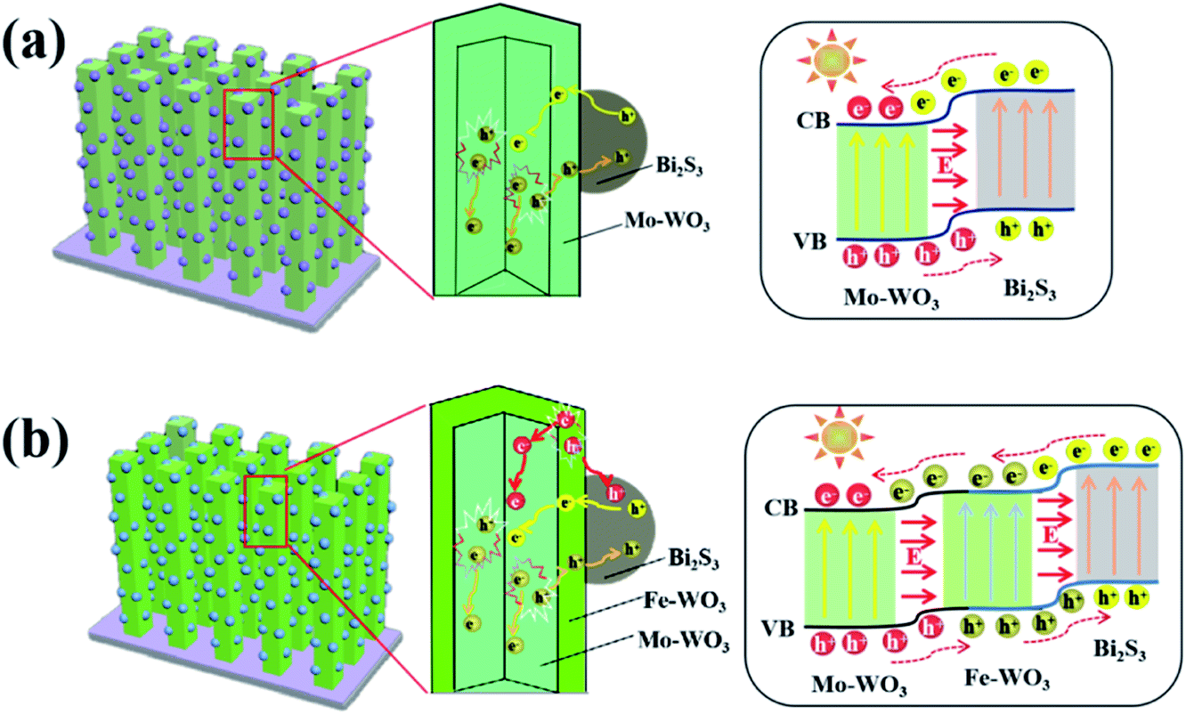 An Effective Strategy Of Constructing A Multi Junction Structure By Integrating A Heterojunction And A Homojunction To Promote The Charge Separation A Journal Of Materials Chemistry A Rsc Publishing Doi 10 1039 D0taa