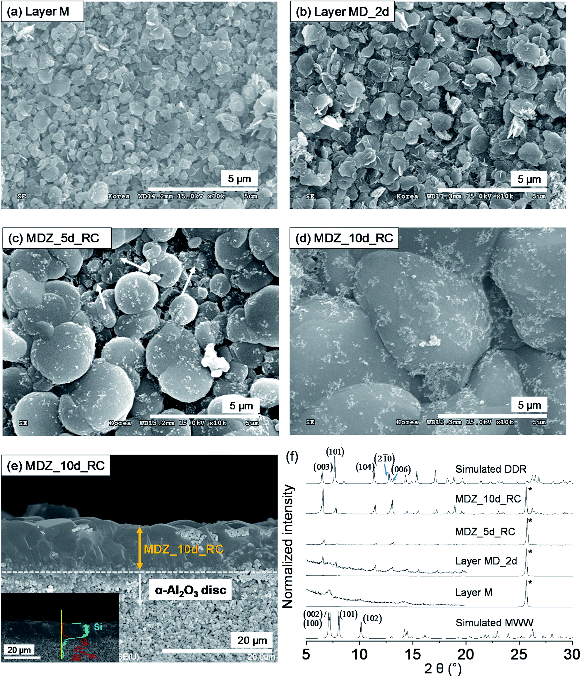 An unprecedented c -oriented DDR@MWW zeolite hybrid membrane An unprecedented c -oriented DDR@MWW zeolite hybrid membrane