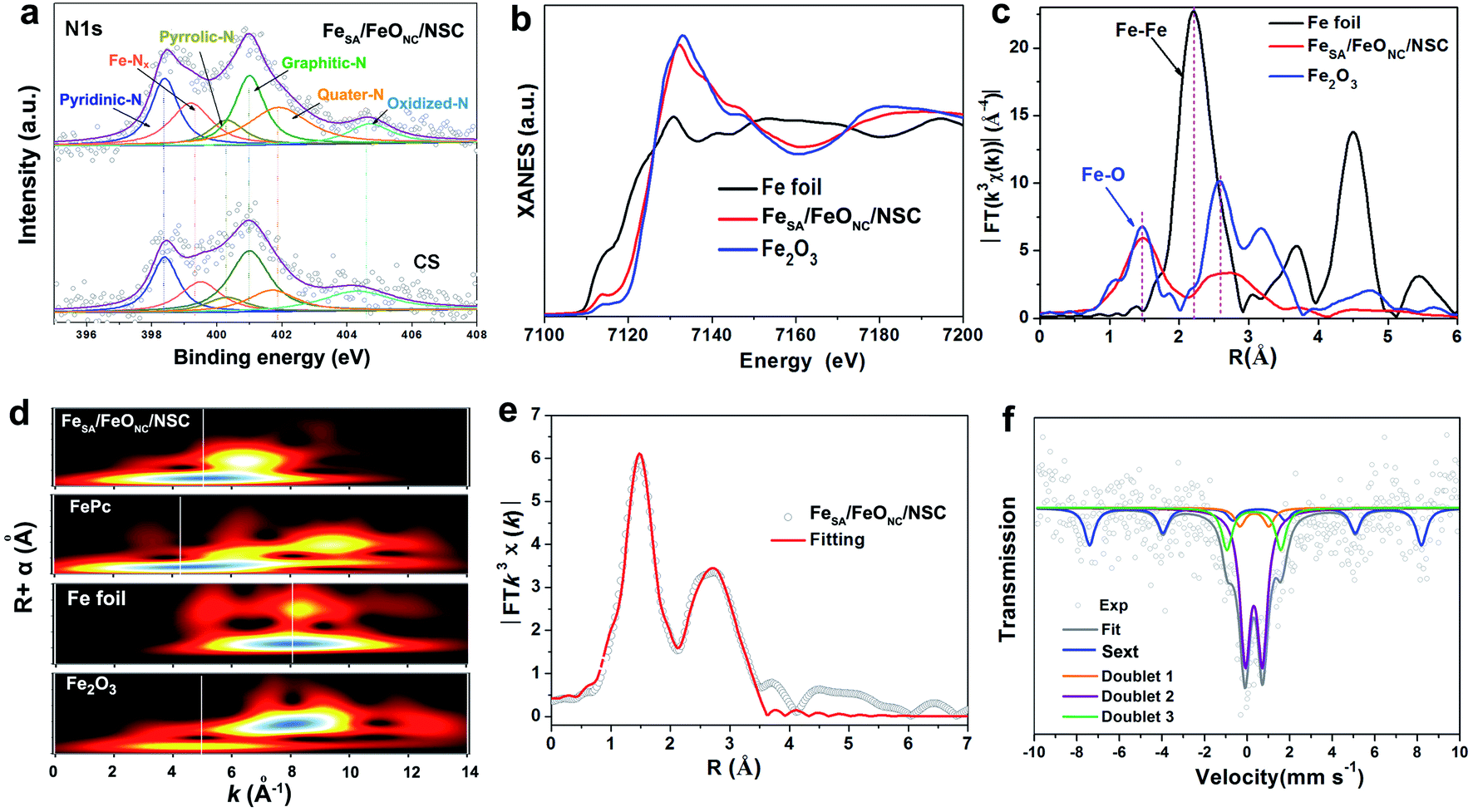 Biomass in situ conversion to Fe single atomic sites coupled with