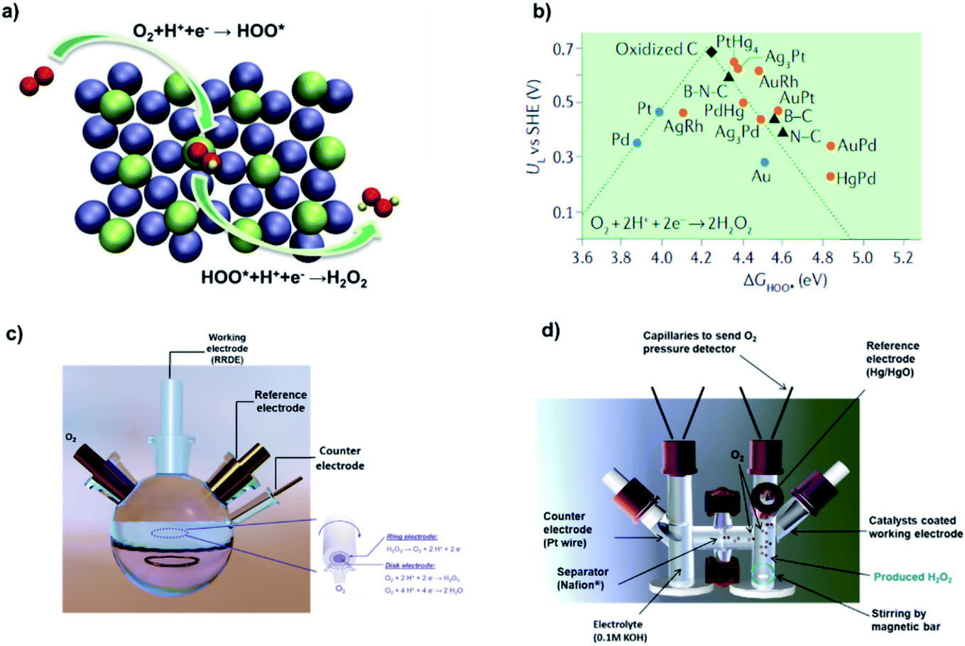 A review of advanced metal-free carbon catalysts for oxygen 