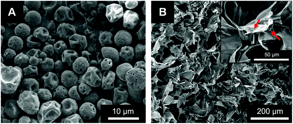 Sustained release of bioactive IGF-1 from a silk fibroin microsphere-based  injectable alginate hydrogel for the treatment of myocardial infarction -  Journal of Materials Chemistry B (RSC Publishing) DOI:10.1039/C9TB01971E