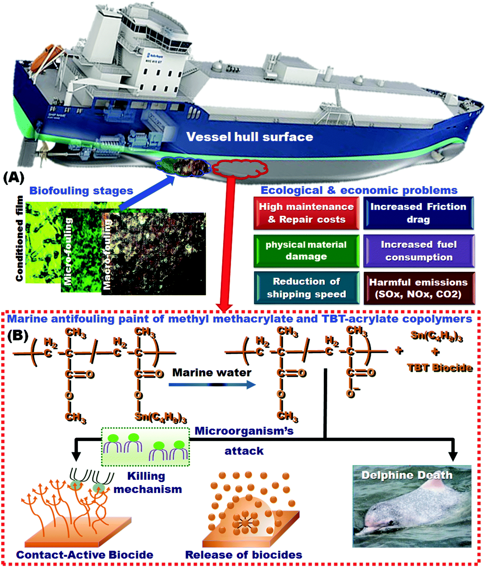 Progress in biomimetic leverages for marine antifouling using 