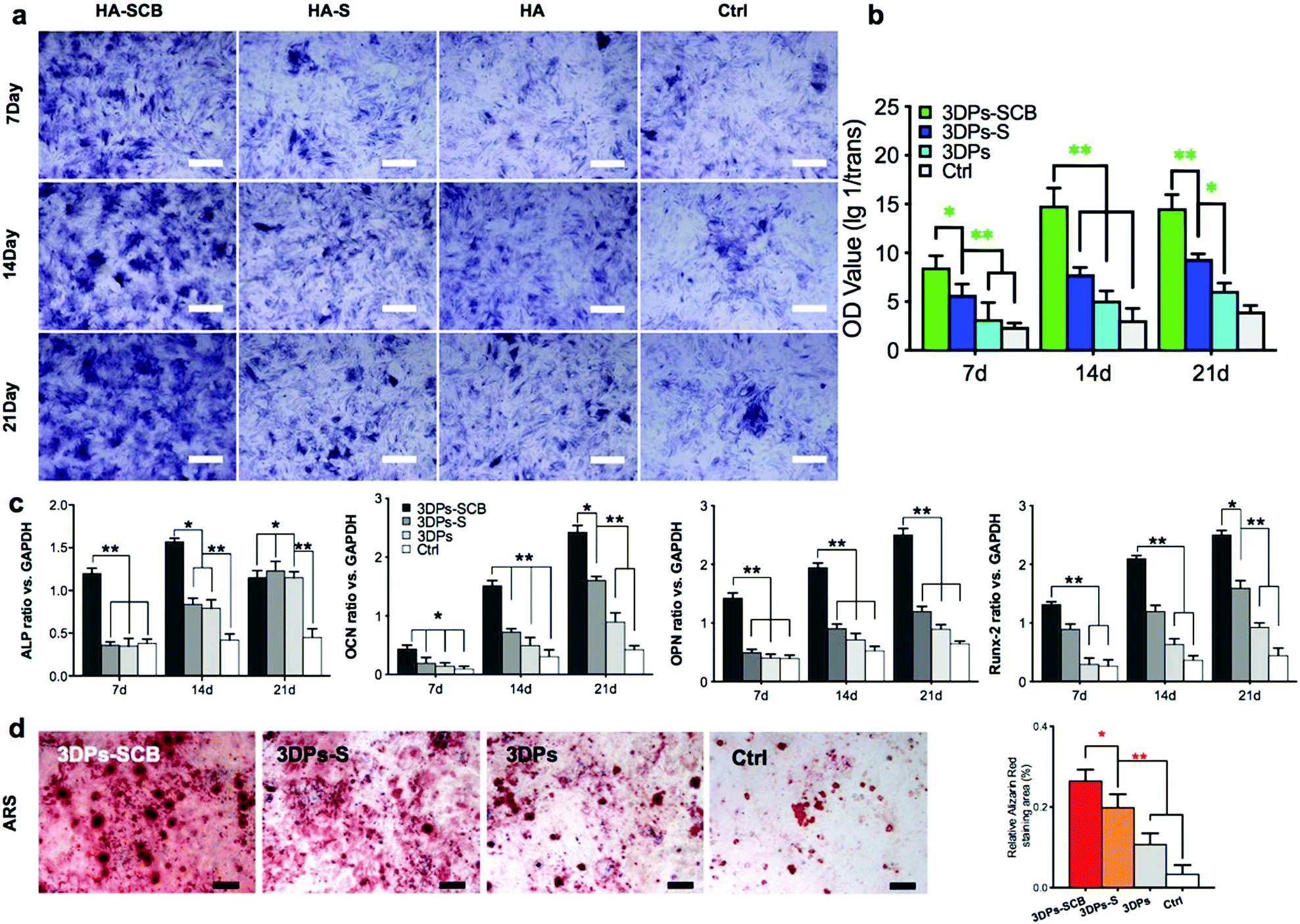 A Modular Programmed Biphasic Dual Delivery System On 3d Ceramic Scaffolds For Osteogenesis In Vitro And In Vivo Journal Of Materials Chemistry B Rsc Publishing Doi 10 1039 C9tbb