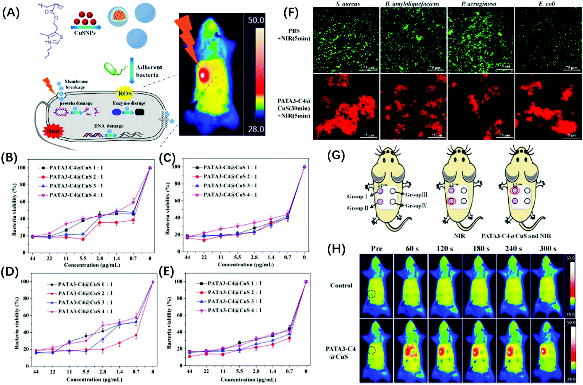 Synthesis Modification And Bioapplications Of Nanoscale Copper Chalcogenides Journal Of Materials Chemistry B Rsc Publishing Doi 10 1039 D0tb001a