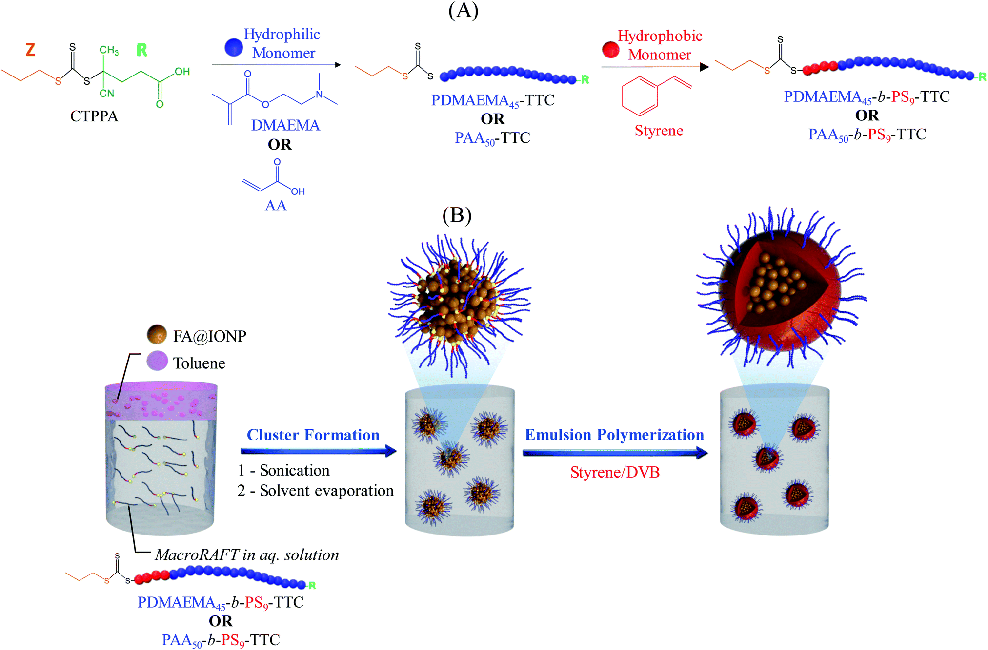 Polymer Encapsulation Of Iron Oxide Clusters Using Macroraft Block Copolymers As Stabilizers Tuning Of The Particle Morphology And Surface Functional Journal Of Materials Chemistry B Rsc Publishing Doi 10 1039 D0tbk