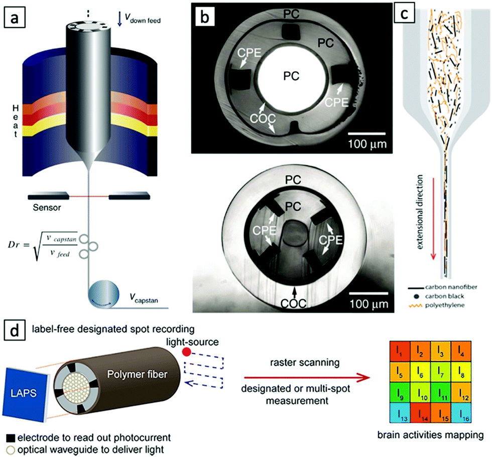 Soft Printable Electrode Coating for Neural Interfaces