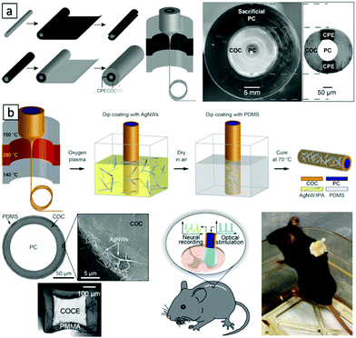 Multimaterial and multifunctional neural interfaces: from surface-type and  implantable electrodes to fiber-based devices - Journal of Materials  Chemistry B (RSC Publishing) DOI:10.1039/D0TB00872A