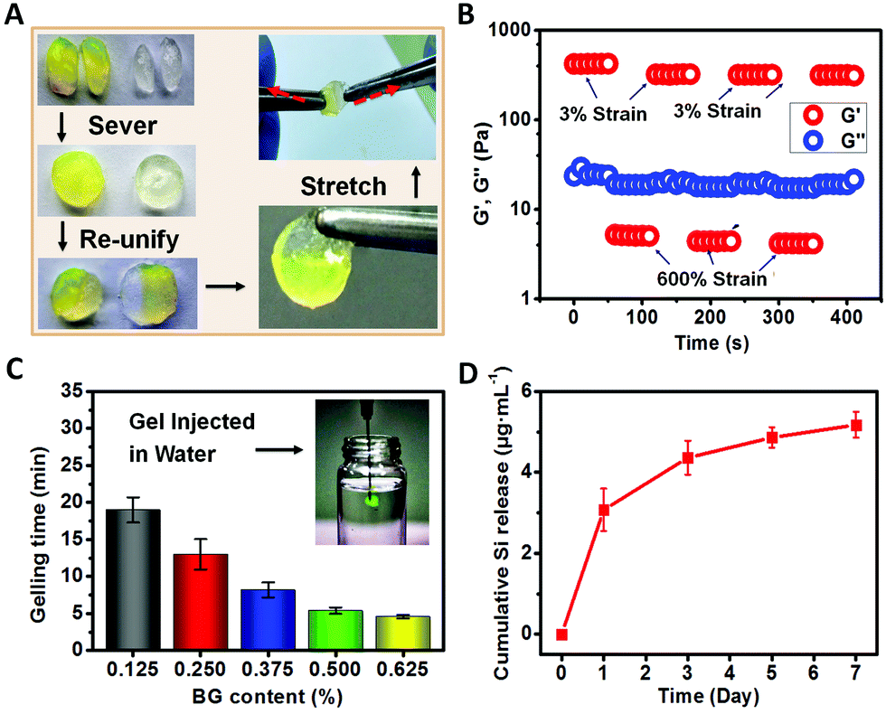 In Situ Activated Mesenchymal Stem Cells Mscs By Bioactive Hydrogels For Myocardial Infarction Treatment Journal Of Materials Chemistry B Rsc Publishing Doi 10 1039 D0tb013j