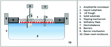 Hydrophobic Self Assembling Monolayers: 3) Consumer Considerations