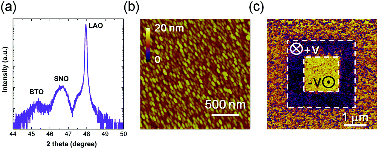 Reversible transition of filamentary and ferroelectric Reversible transition of filamentary and ferroelectric