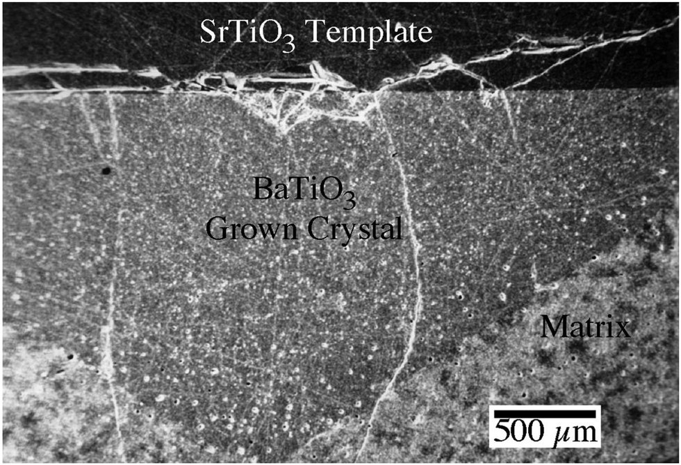 Solid-state crystal growth of lead-free ferroelectrics