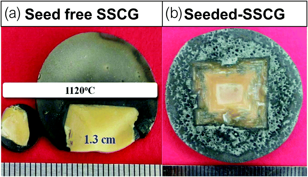 Solid-state crystal growth of lead-free ferroelectrics - Journal 
