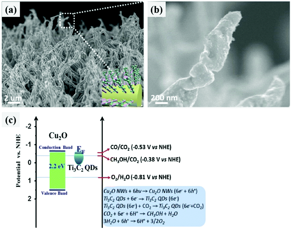 MXenes as co-catalysts for the solar-driven photocatalytic MXenes as co-catalysts for the solar-driven photocatalytic