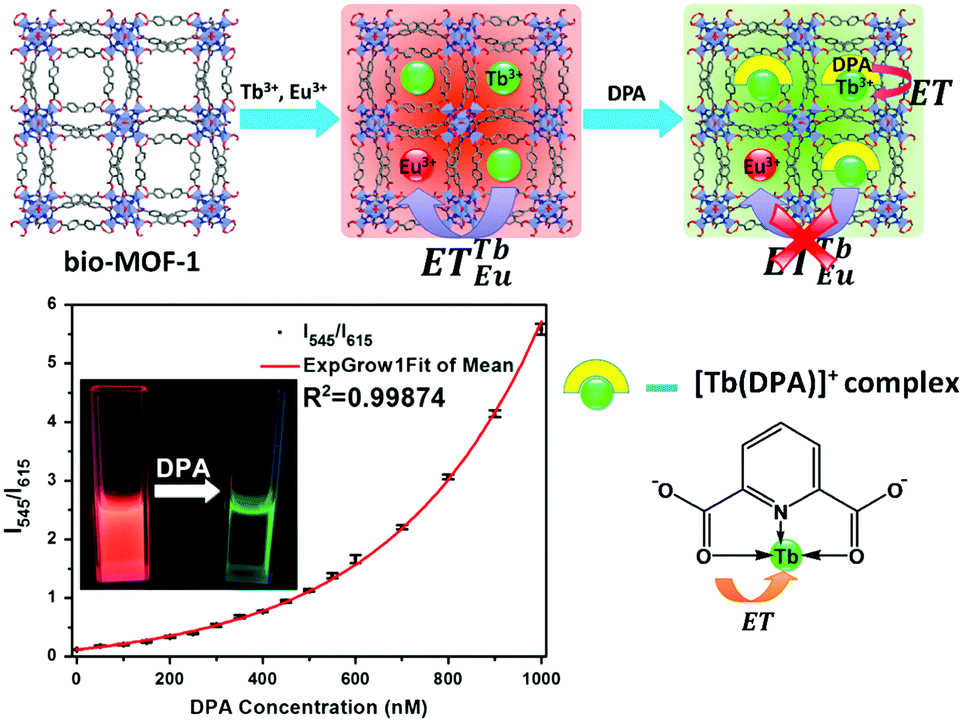 の 人気アイテムランキング Lanthanide-functionalized metal–organic as frameworks 邦画・日本映画