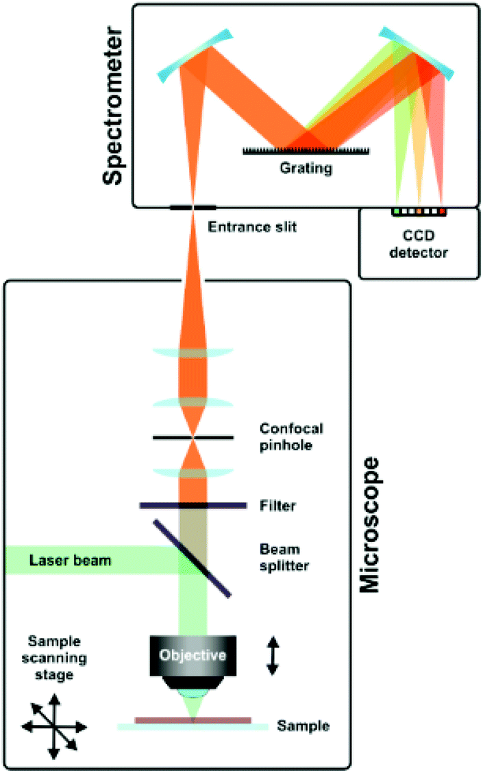 Spectroelectrochemistry, the future of visualizing electrode processes ...