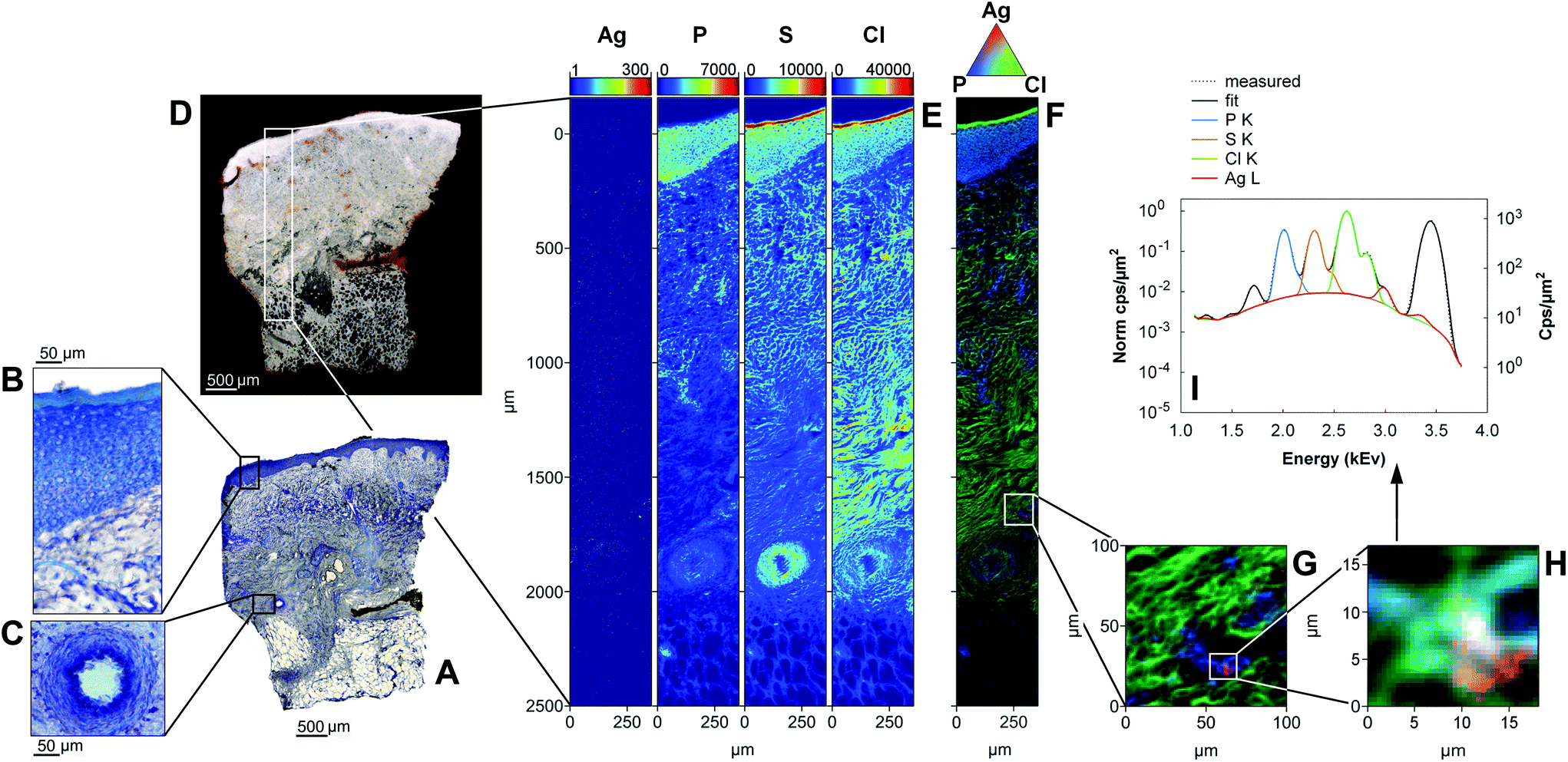 Spatiotemporal Distribution And Speciation Of Silver Nanoparticles In The Healing Wound Analyst Rsc Publishing