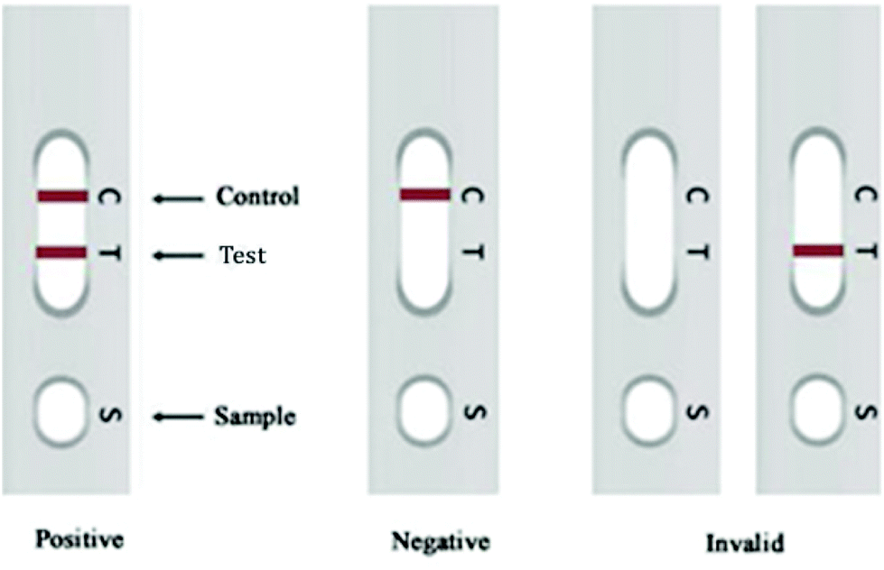 positive lateral flow test