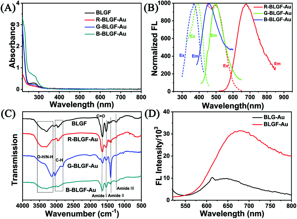 B Lactoglobulin Amyloid Fibril Templated Gold Nanoclusters For Cellular Multicolor Fluorescence Imaging And Colorimetric Blood Glucose Assay Analyst Rsc Publishing