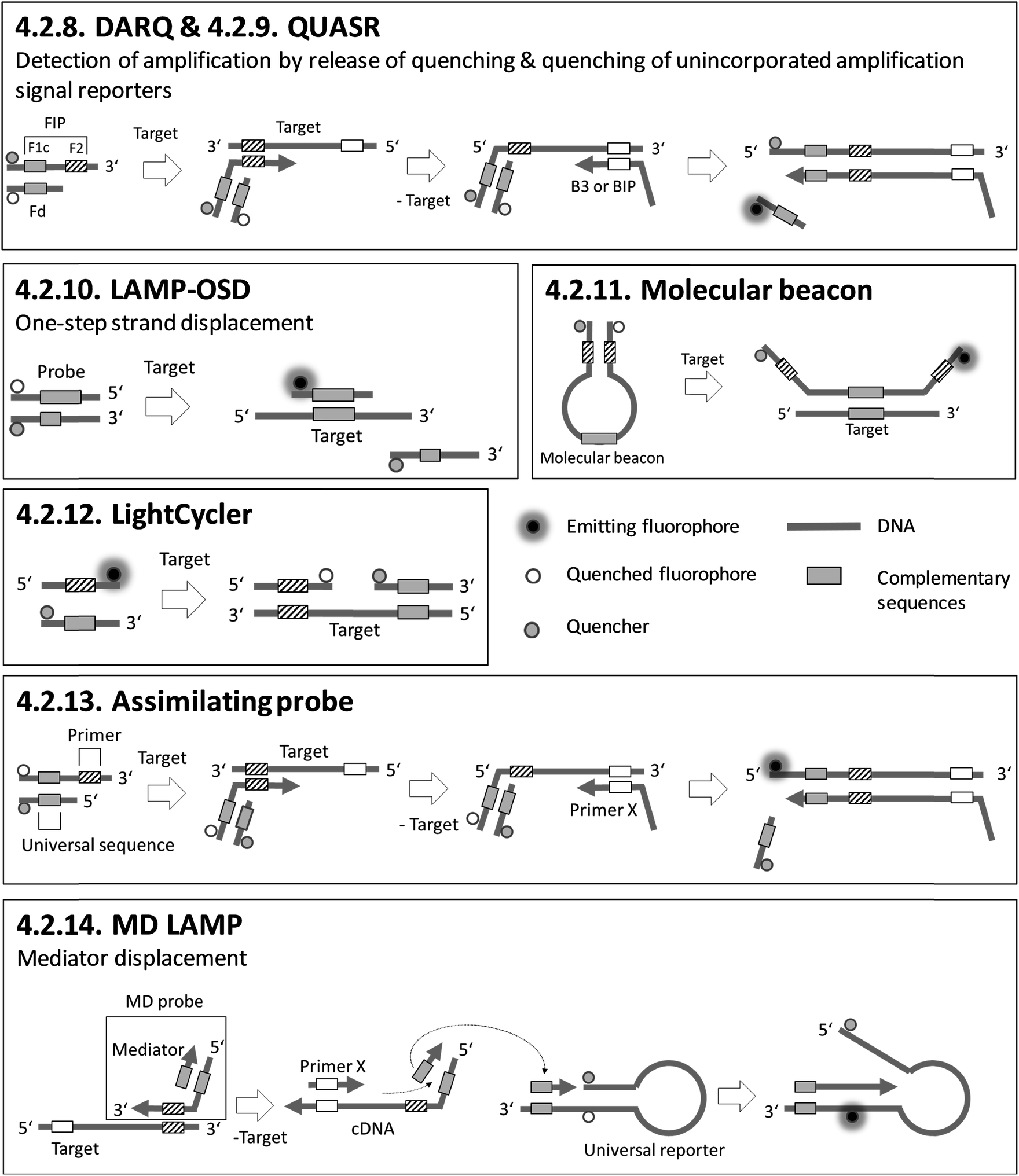 Loop Mediated Isothermal Amplification Lamp Review And Classification Of Methods For Sequence Specific Detection Analytical Methods Rsc Publishing