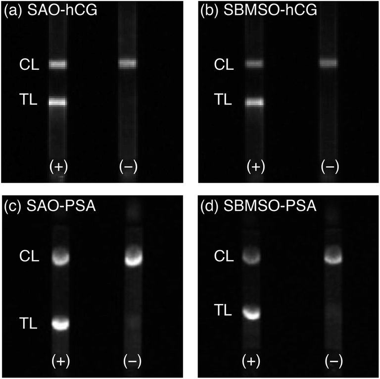 A Multicolor Multiplex Lateral Flow Assay For High Sensitivity Analyte Detection Using Persistent Luminescent Nanophosphors Analytical Methods Rsc Publishing
