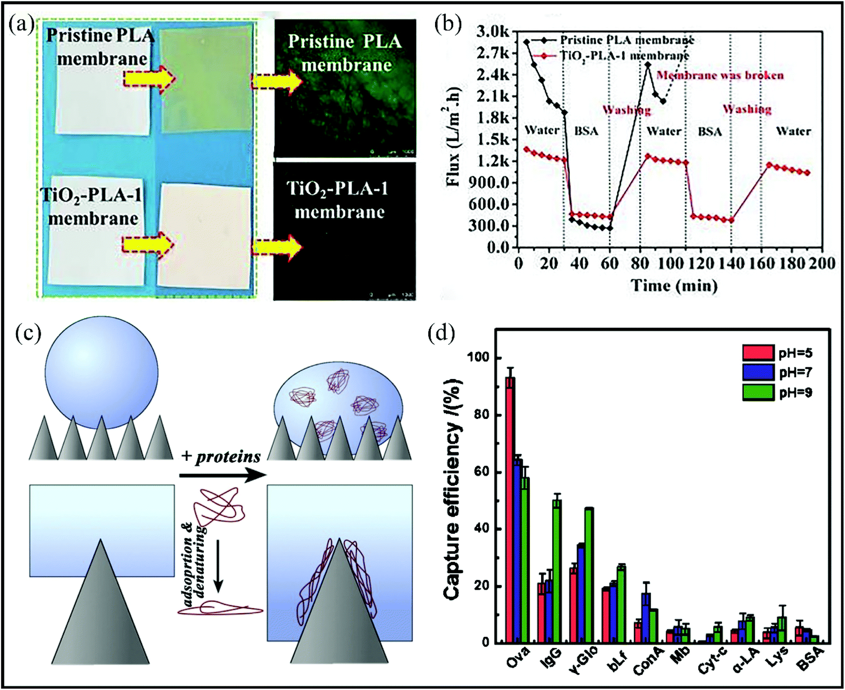 Bioinspired Surfaces With Wettability Biomolecule Adhesion Behaviors Biomaterials Science Rsc Publishing Bioinspired Surfaces With Wettability Biomolecule Adhesion Behaviors Biomaterials Science Rsc Publishing
