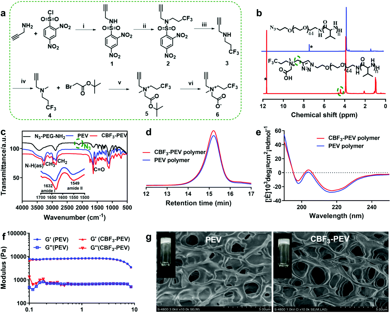 19f Magnetic Resonance Imaging Enabled Real Time Non Invasive And Precise Localization And Quantification Of The Degradation Rate Of Hydrogel Scaffolds In Vivo Biomaterials Science Rsc Publishing