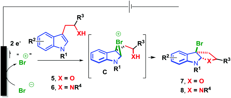 Electrochemical Synthesis Of 3a Bromofuranoindolines And 3a Bromopyrroloindolines Mediated By Mgbr2 Chemical Communications Rsc Publishing