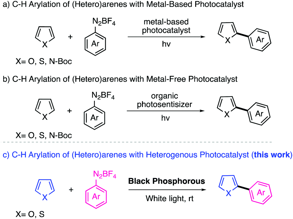 Black Phosphorus As A Metal Free Visible Light Active Heterogeneous Photoredox Catalyst For The Direct C H Arylation Of Heteroarenes Chemical Communications Rsc Publishing