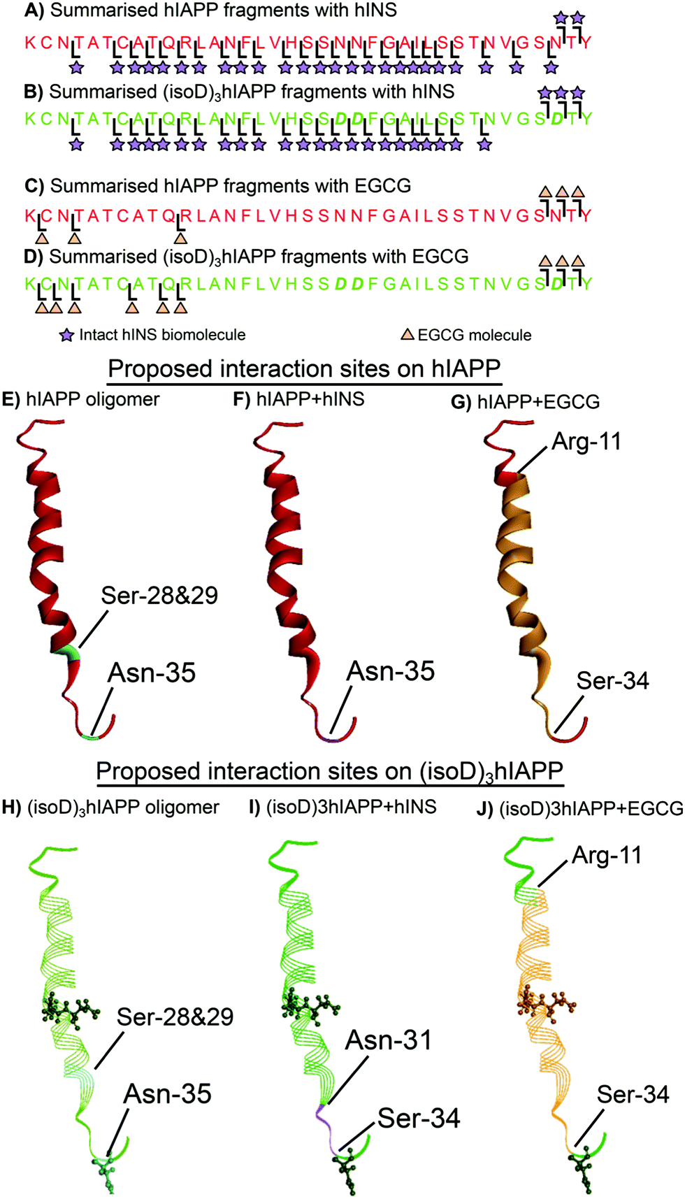 Does Deamidation Affect Inhibitory Mechanisms Towards Amyloid Protein Aggregation Chemical Communications Rsc Publishing